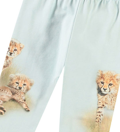 Molo Bukser - Simway - Cheetahs Cute Molo Bukser - Simway - Cheetahs Cute