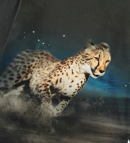 Molo Bluse - Rube - Cheetah Run Molo Bluse - Rube - Cheetah Run