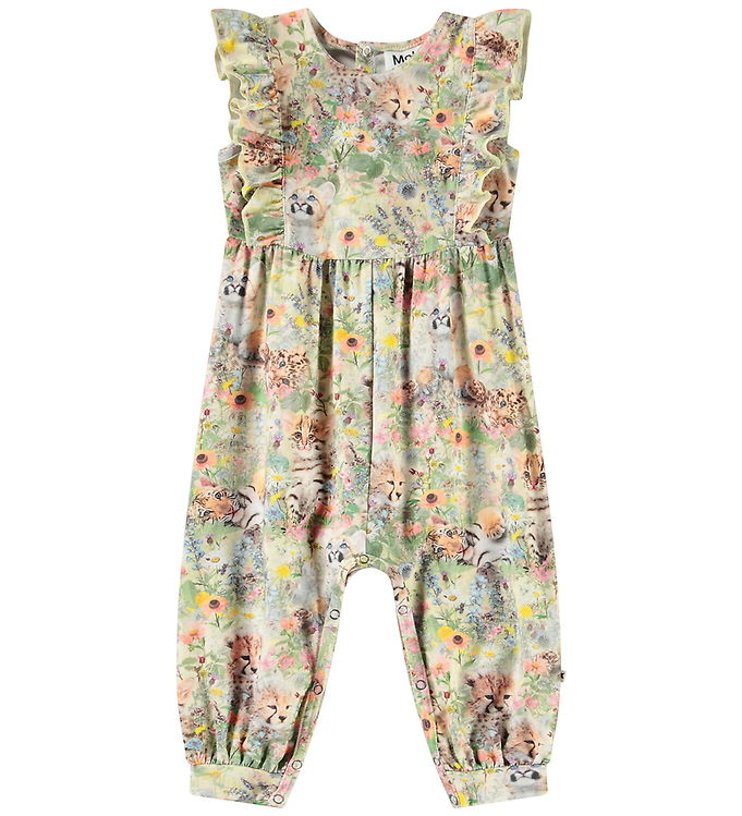 Molo Heldragt - Fallon - Meadow Cubs