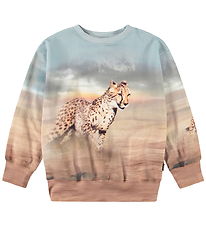 Molo Sweatshirt - Mattis - Running Cheetahs Molo Sweatshirt - Mattis - Running Cheetahs