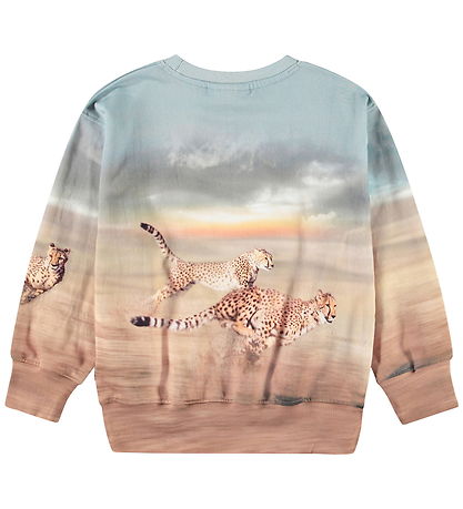 Molo Sweatshirt - Mattis - Running Cheetahs Molo Sweatshirt - Mattis - Running Cheetahs