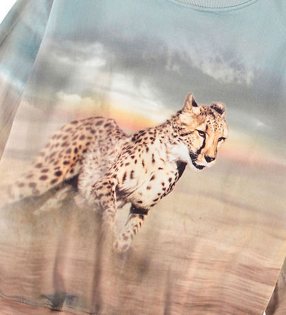 Molo Sweatshirt - Mattis - Running Cheetahs Molo Sweatshirt - Mattis - Running Cheetahs