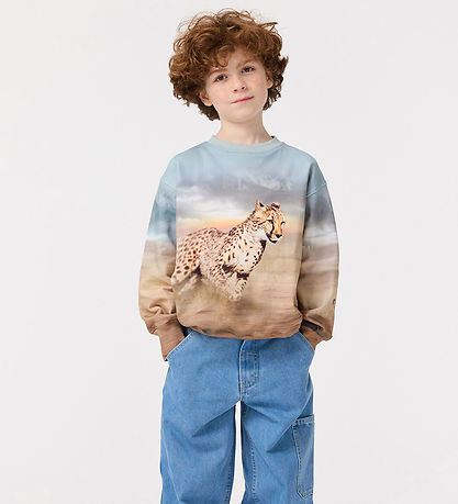 Molo Sweatshirt - Mattis - Running Cheetahs Molo Sweatshirt - Mattis - Running Cheetahs