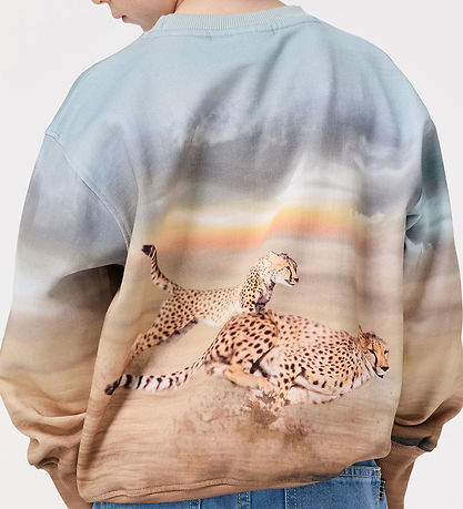 Molo Sweatshirt - Mattis - Running Cheetahs Molo Sweatshirt - Mattis - Running Cheetahs