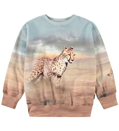 Molo Sweatshirt - Mattis - Running Cheetahs Molo Sweatshirt - Mattis - Running Cheetahs