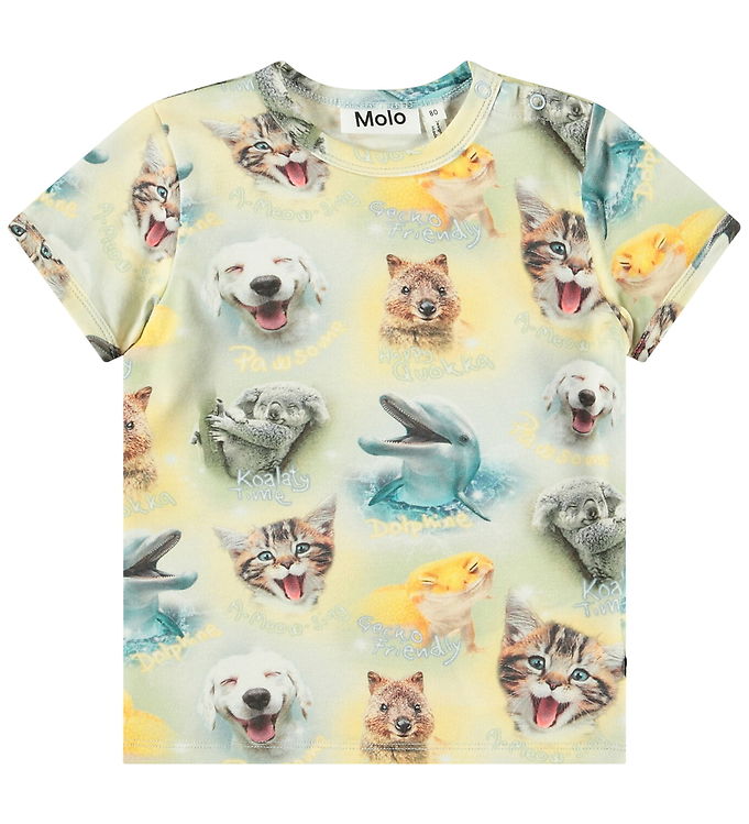 Molo T-shirt - Easy - Smiling Cubs