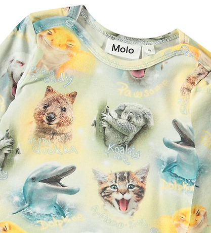 Molo Body l/æ - Foss - Smiling Cubs
