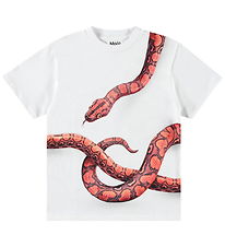 Molo T-shirt - Rubin - Red Snake Molo T-shirt - Rubin - Red Snake