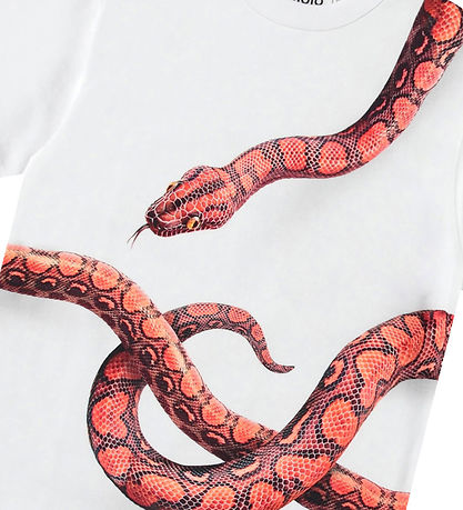 Molo T-shirt - Rubin - Red Snake