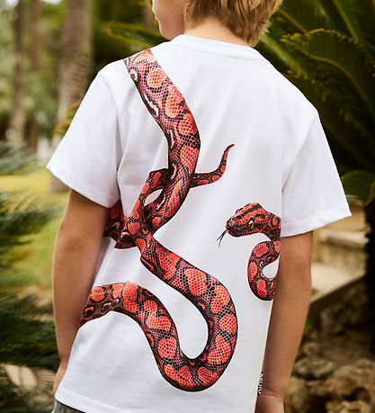 Molo T-shirt - Rubin - Red Snake