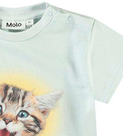 Molo T-shirt - Enzo - A-Meow-Sing