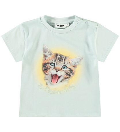 Molo T-shirt - Enzo - A-Meow-Sing
