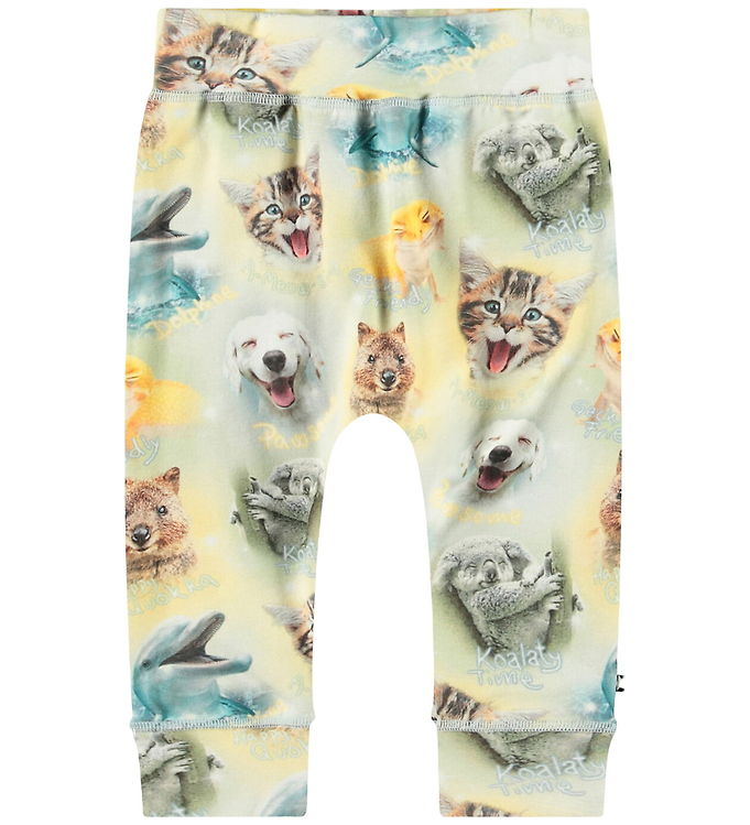 Molo Bukser - Sammy - Smiling Cubs