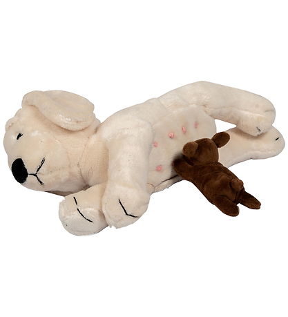 by ASTRUP Bamser - Hund m. Hvalpe
