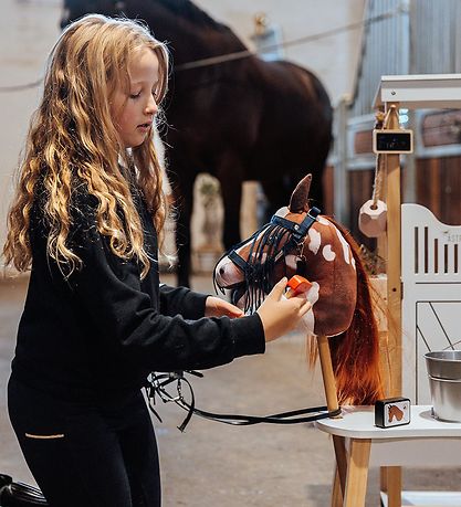 by ASTRUP Insekt Sæt Til Kæphest