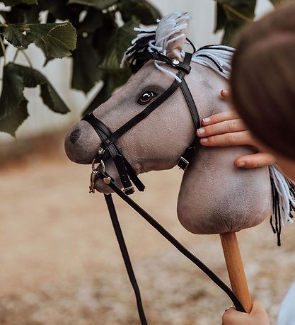 by ASTRUP Kæphest - Luna - 68 cm - Grå