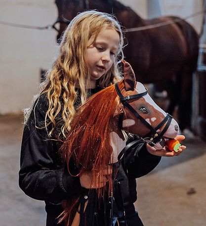 by ASTRUP Kæphest - Coco - 68 cm - Rødbrun/Hvid