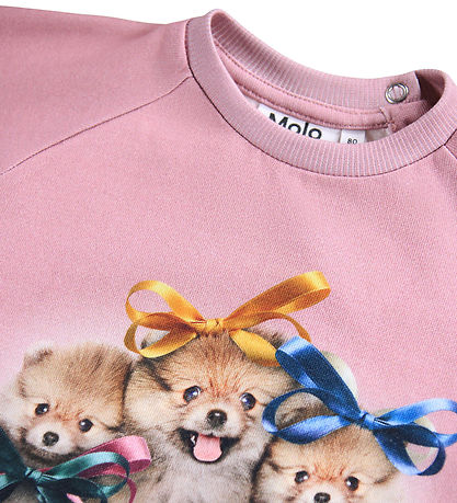 Molo Sweatshirt - Disc - Ribbon Play 
