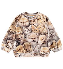 Molo Sweatshirt - Disc - Fuzzy Fluffy Molo Sweatshirt - Disc - Fuzzy Fluffy