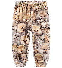 Molo Sweatpants - Simeon - Fuzzy Fluffy Molo Sweatpants - Simeon - Fuzzy Fluffy
