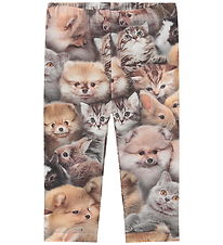 Molo Leggings - Stefanie - Fuzzy Fluffy Molo Leggings - Stefanie - Fuzzy Fluffy