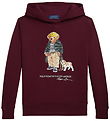 Polo Ralph Lauren Hættetrøje - Classics - Wine Polo Ralph Lauren Hættetrøje - Classics - Wine