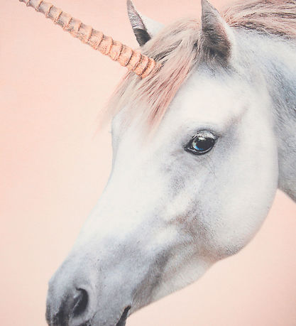 Molo Bluse - Mountoo - Born a Unicorn