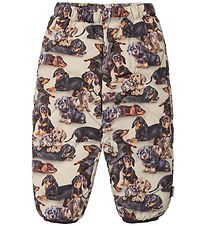 Molo Skibukser - Percy - Dashshund Soft Molo Skibukser - Percy - Dashshund Soft