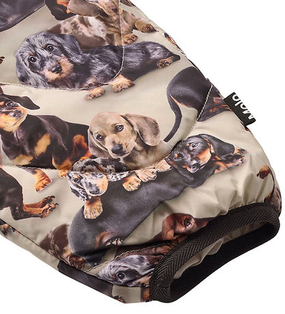 Molo Skibukser - Percy - Dashshund Soft