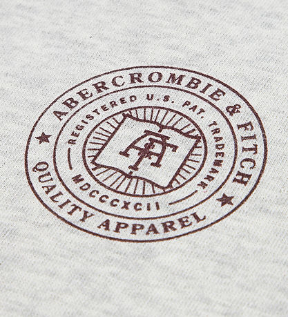 Abercrombie & Fitch Hættetrøje - Lysegråmeleret m. Print