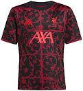 adidas Performance Football Shirt - Liverpool 25/26 - Black/Pure