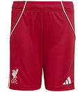 adidas Performance Shorts - Liverpool 25/26 Thuis - Strred