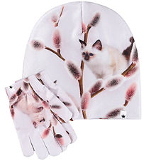 Molo Hue/Handsker - Kaya - Willow Cat Molo Hue/Handsker - Kaya - Willow Cat