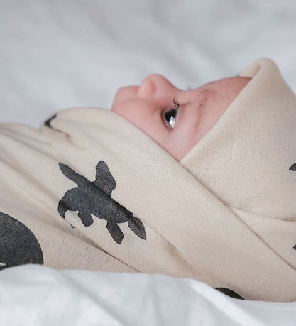 Thats Mine Babysvøb - 120x120 cm - Jana - Mono Dino Thats Mine Babysvøb - 120x120 cm - Jana - Mono Dino