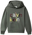 Calvin Klein Hættetrøje - Color Logo - Thyme Green Calvin Klein Hættetrøje - Color Logo - Thyme Green