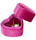 Konges Sløjd Trinket Box - Little - Swan