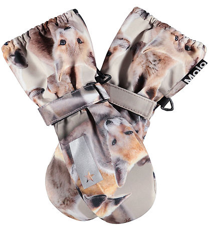 Molo Luffer - Igor - Playing Foxes Molo Luffer - Igor - Playing Foxes