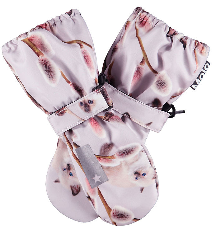 Molo Luffer – Igor – Willow Kitten