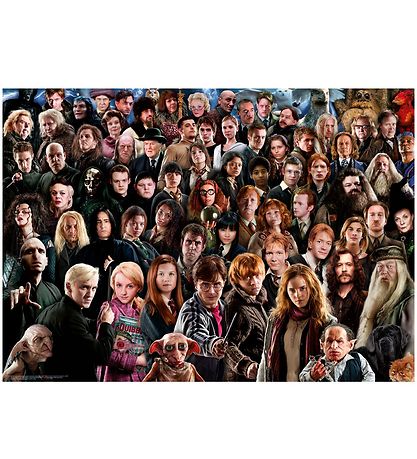 Ravensburger Puzzle - 1000 Pieces - Harry Potter