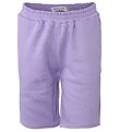 Hound Shorts - Lavender Hound Shorts - Lavender