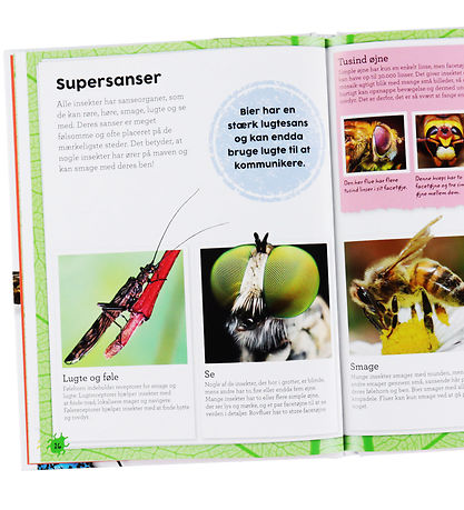 Forlaget Bolden Bog - Min Bog Om Insekter Og Smådyr