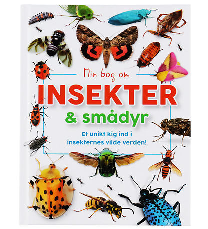 Forlaget Bolden Bog - Min Bog Om Insekter Og Smådyr