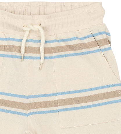 The New Shorts - TnThor - Multi Striped