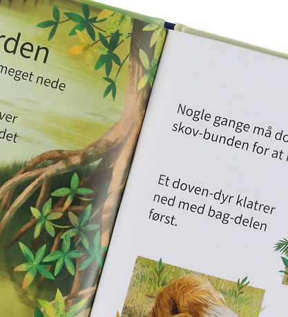 Gads Forlag Bog - Små Fakta - Læs Selv - Dovendyr