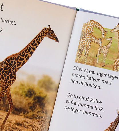 Gads Forlag Bog - Små Fakta - Læs Selv - Giraffer