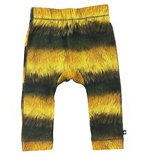 Molo Bukser - Seb - Bee Molo Bukser - Seb - Bee