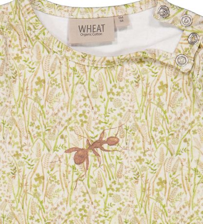 Wheat x Rodinia Body l/æ - Limited - Watercolor Grassland