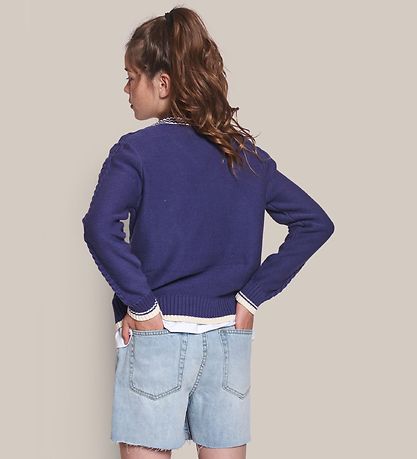 Grunt Shorts - 90s - Globe Blue