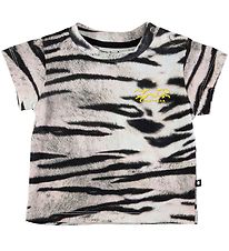 Molo T-shirt - Emilio - Tiger White Molo T-shirt - Emilio - Tiger White