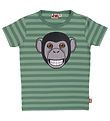 DYR T-shirt - Growl - Saga/Rover Khaki